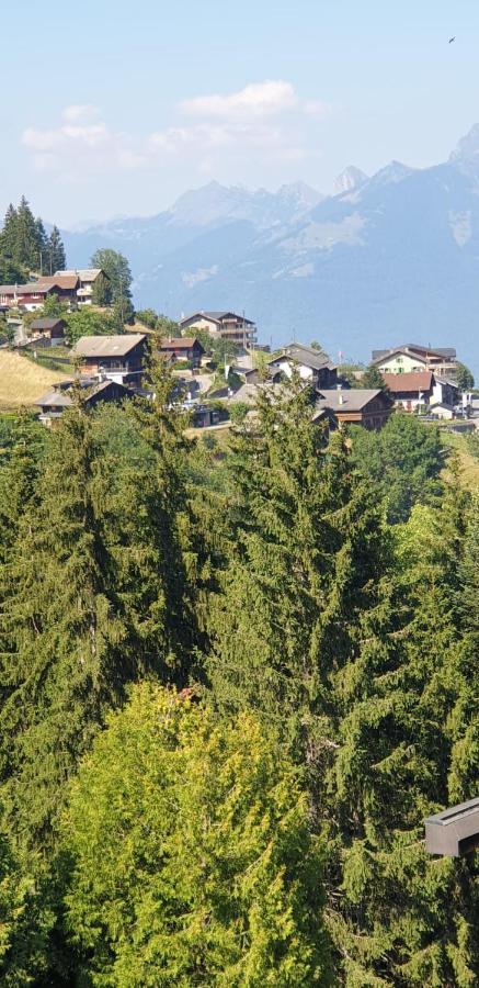 Residence « Les Cretes » Torgon Exterior photo
